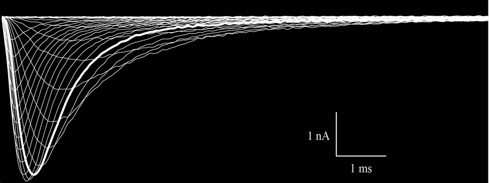 Sodium Currents