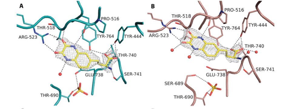 iGluR Drug Discovery