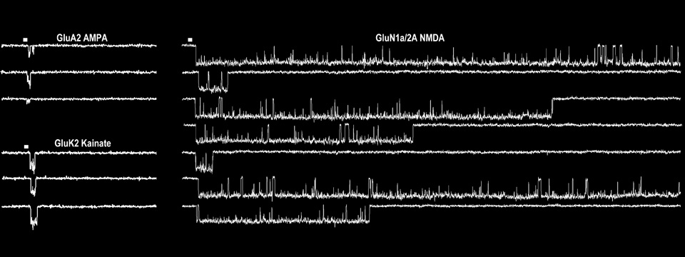 Single Channel iGluRs