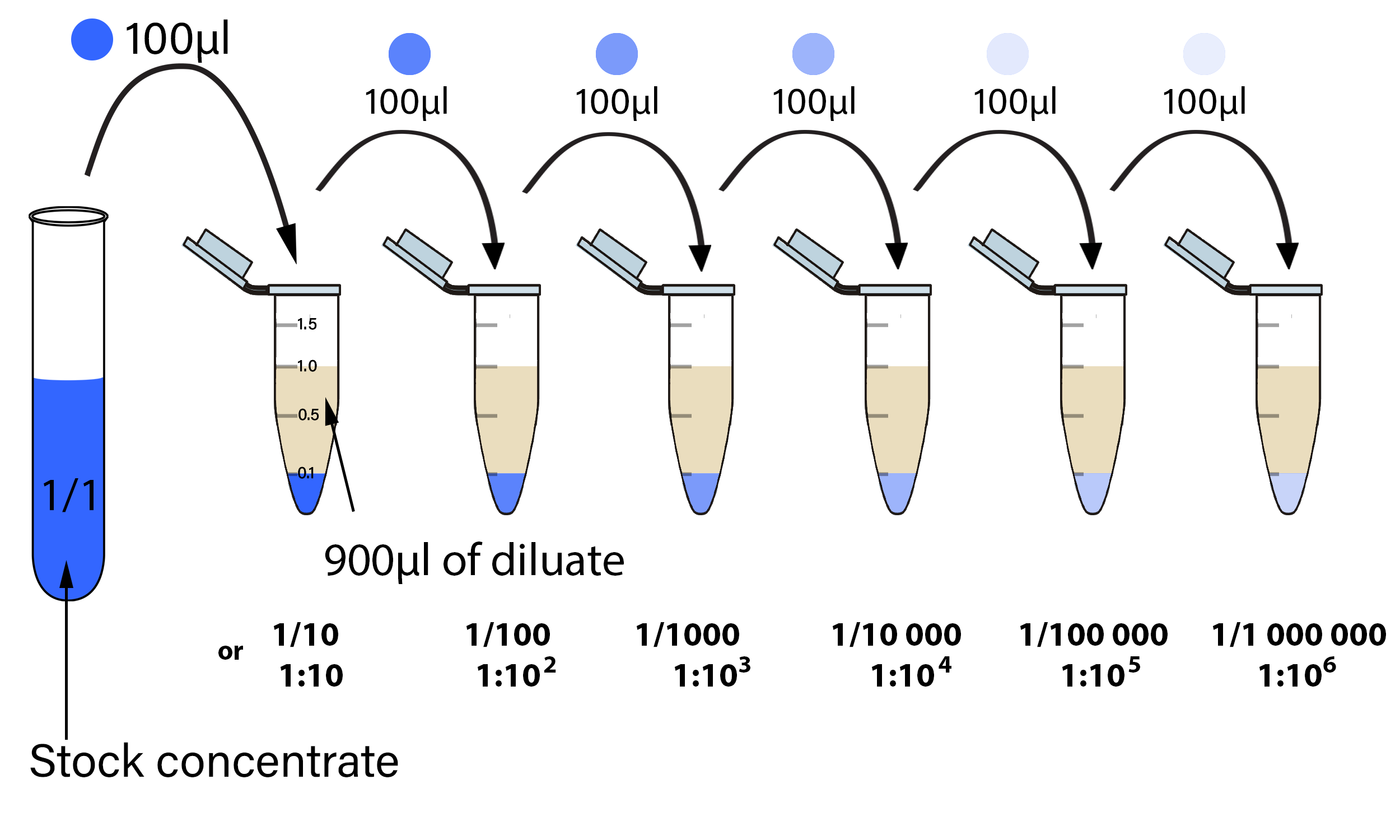 Serial Dilutions And Plating Microbial Enumeration 46 OFF