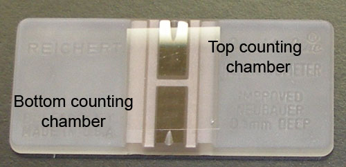 Glass Blood Cell Counting Chambers JoanLab® JoanLab Improved Neubauer Hemocytometer Blood Count with Double Counting Chamber 