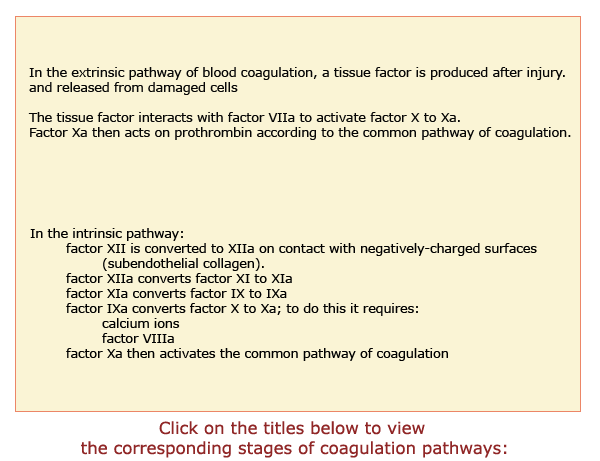 Blood Hemostasis: PT PTT tests