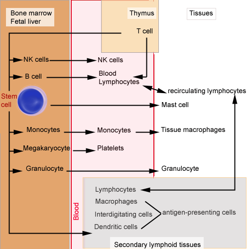 Immunology Laboratory: Basic Concepts